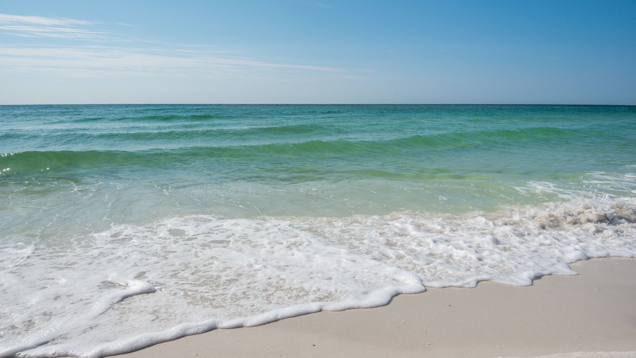 Photo of Others in Pensacola Beach