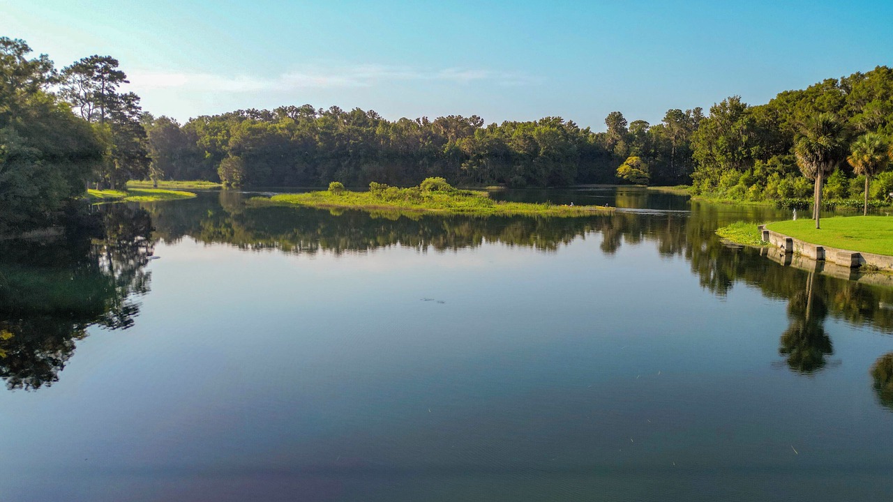 Photo of Others in Dunnellon