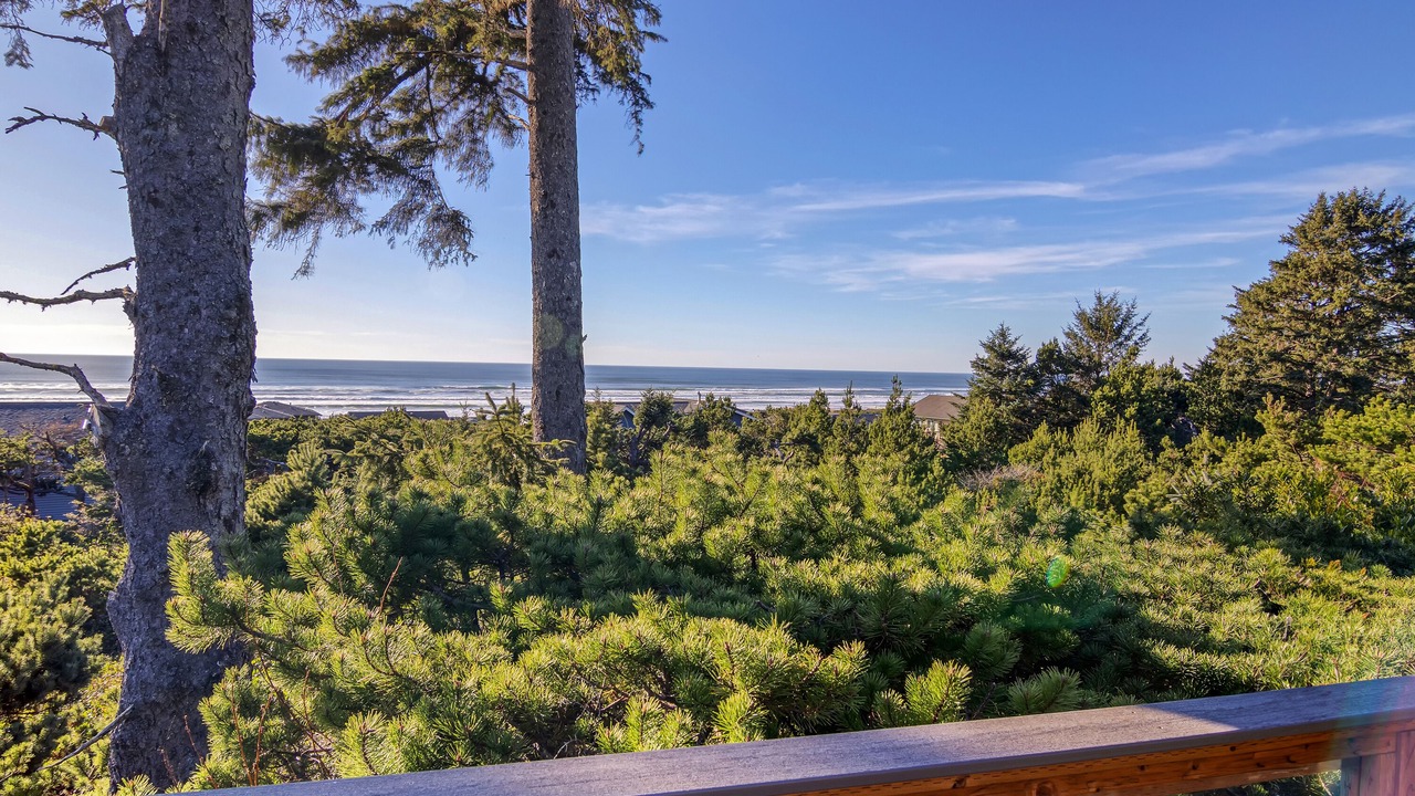 Photo of Outdoor in Sandpiper Village