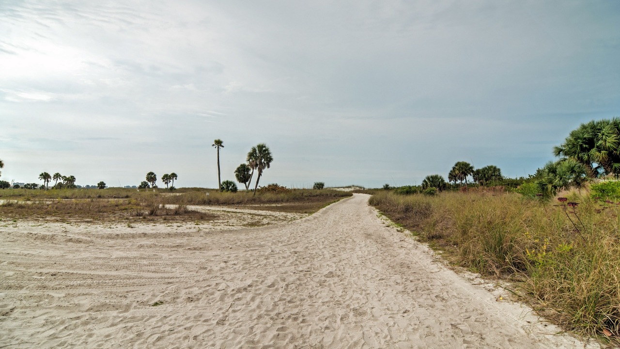 Photo of Others in Treasure Island