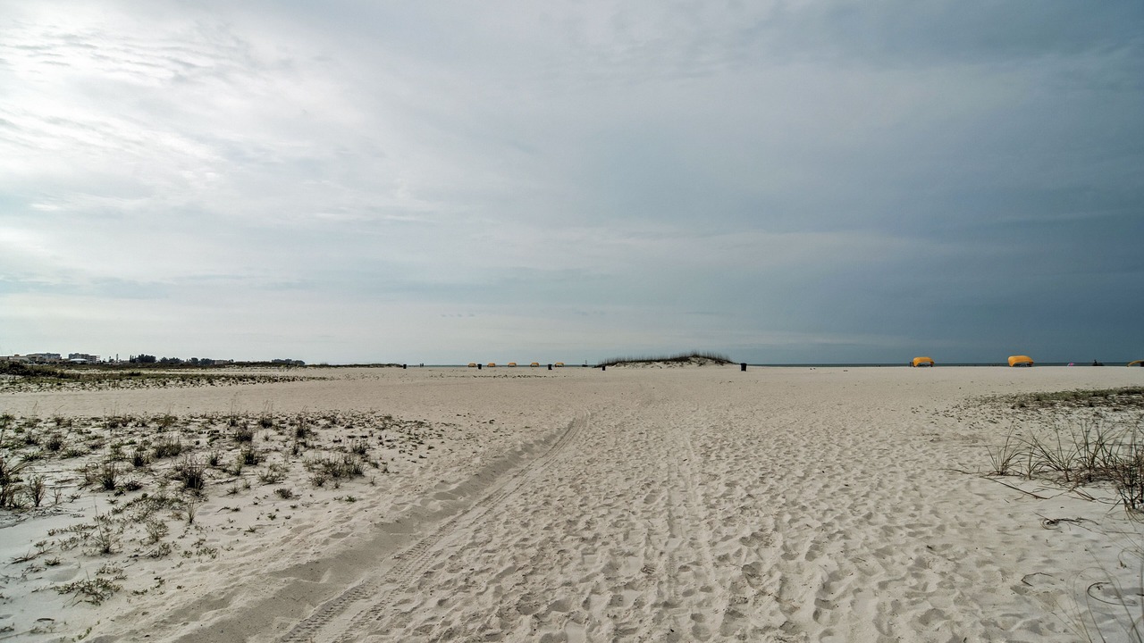 Photo of Others in Treasure Island