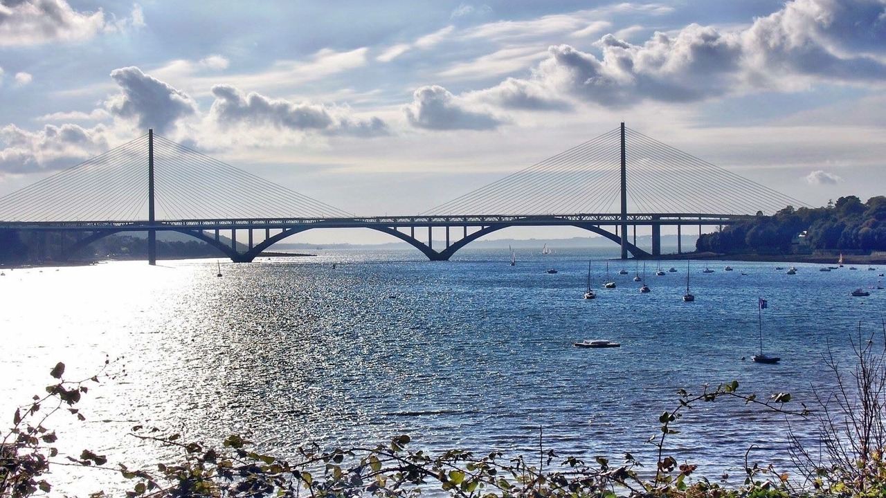 Photo of Others in Downtown