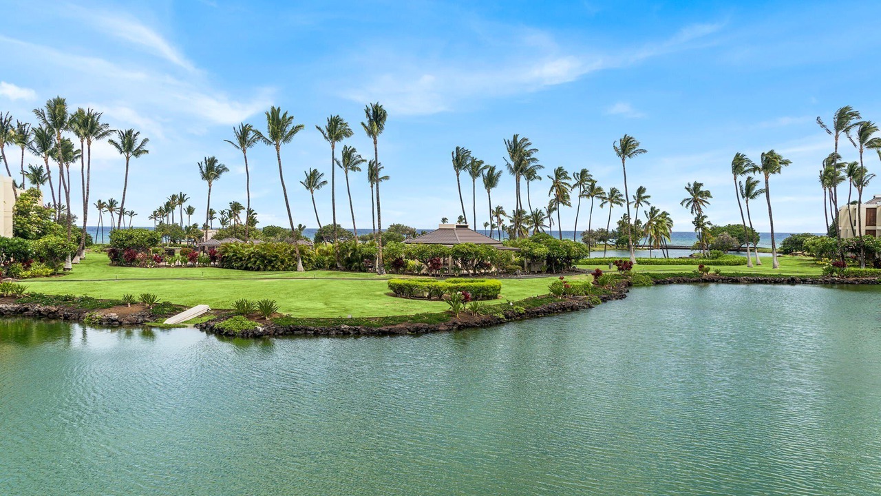 Photo of Others in Kamuela