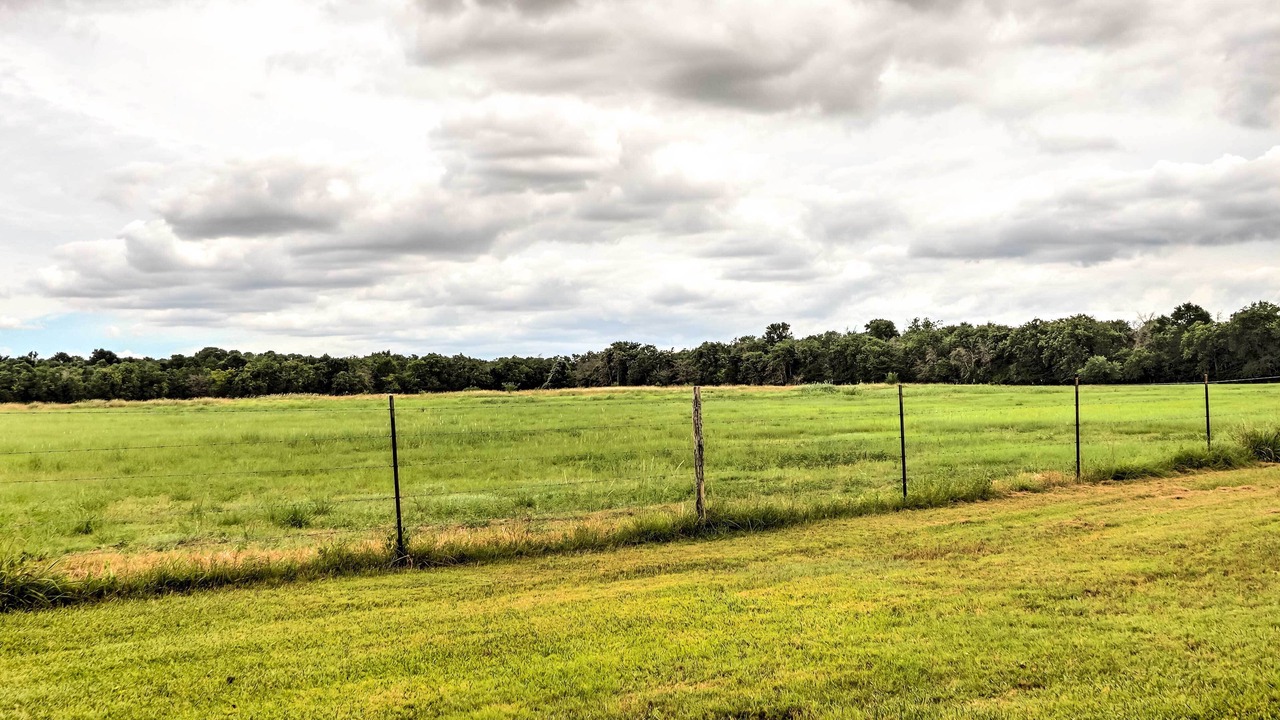 Photo of Outdoor in Carmine