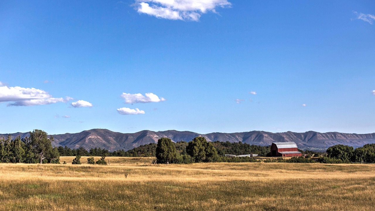 Photo of Others in Mancos