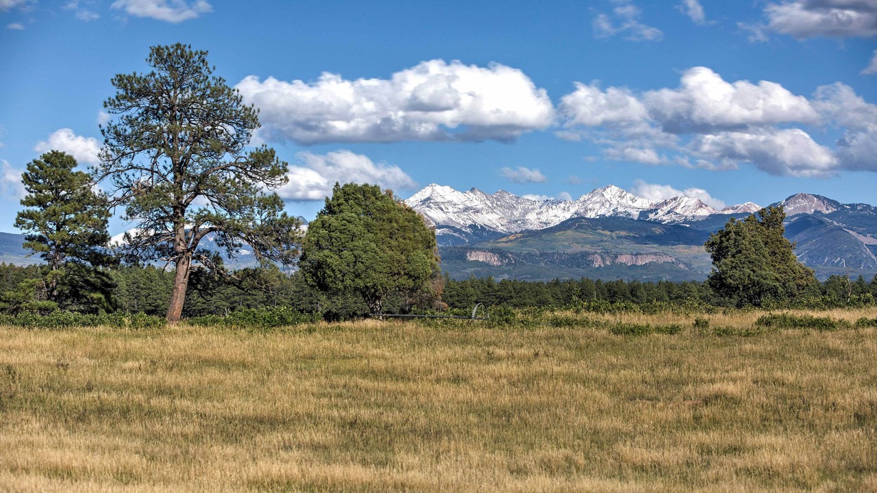 Photo of Others in Mancos