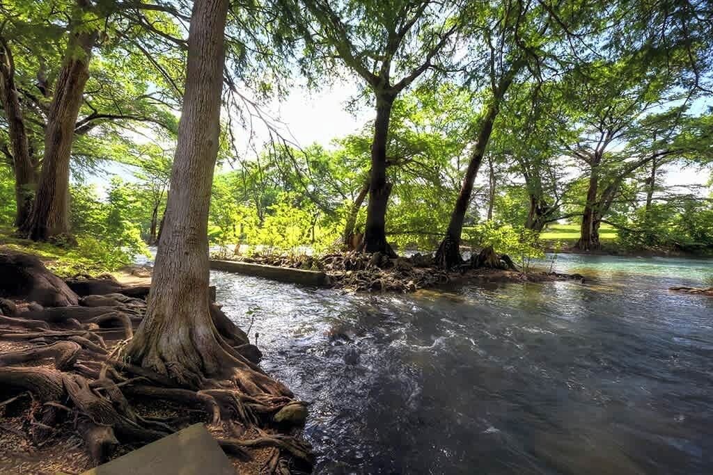 Photo of Others in New Braunfels