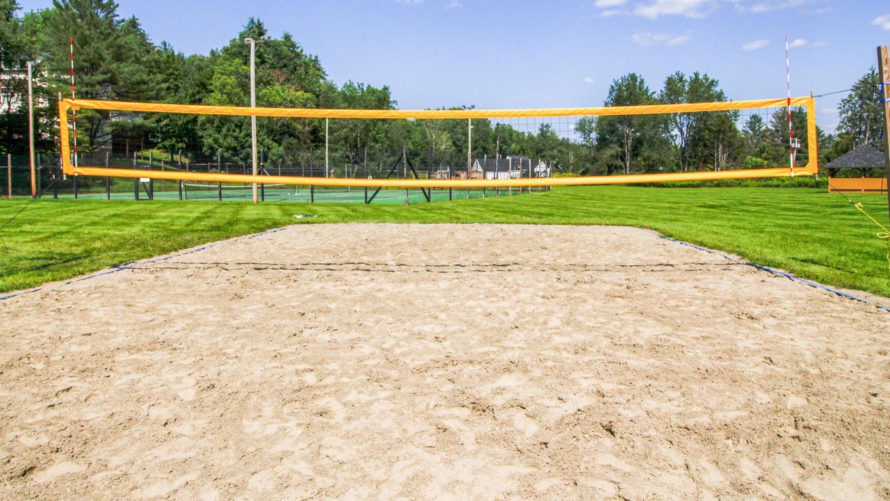 Photo of Others in Stowe Area