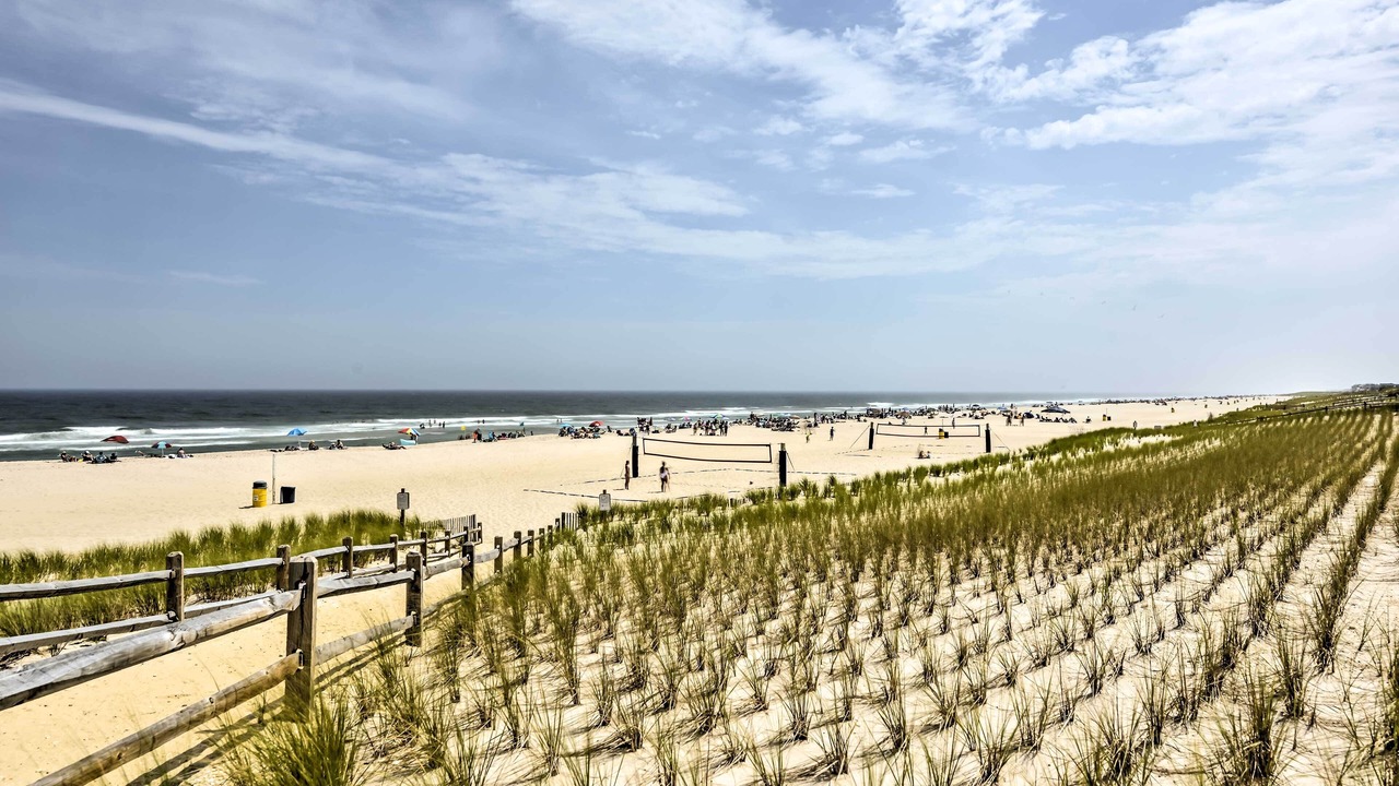 Photo of Others in Ship Bottom