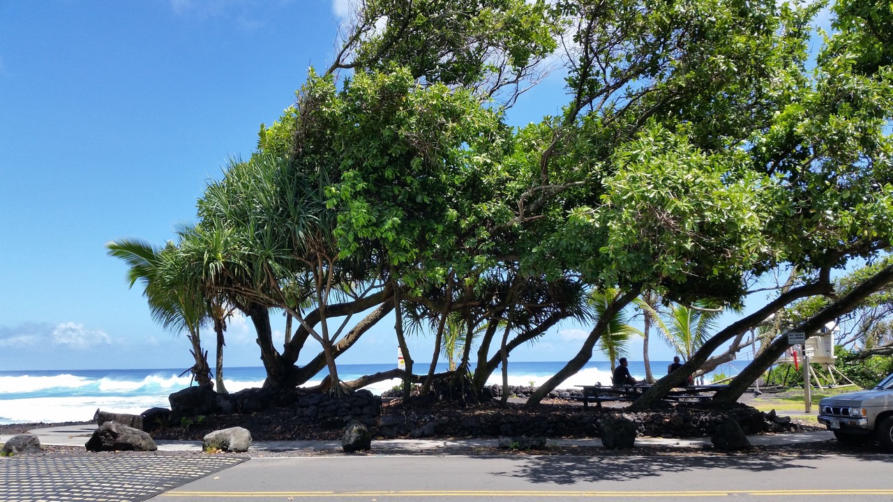 Photo of Outdoor in Keaau