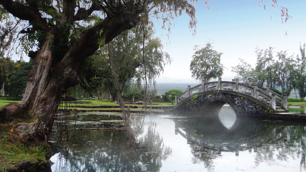 Photo of Outdoor in Keaau