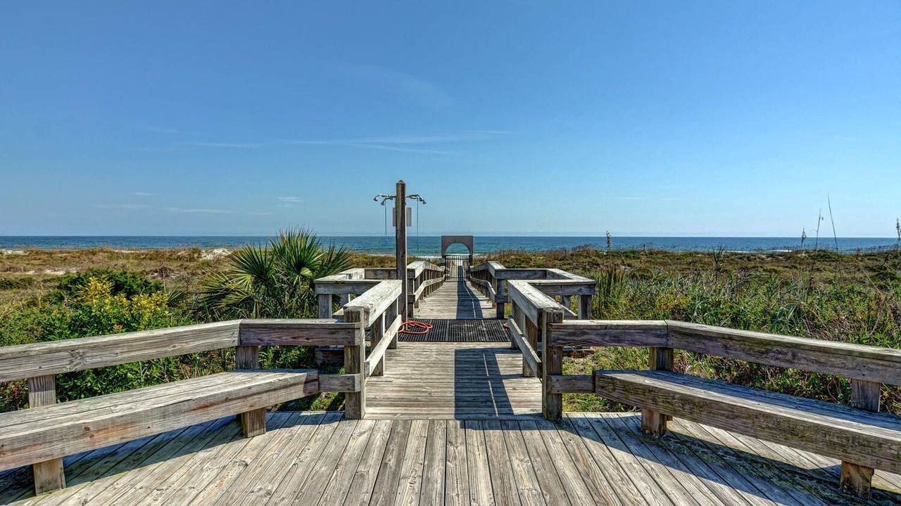 Photo of Others in Shell Island