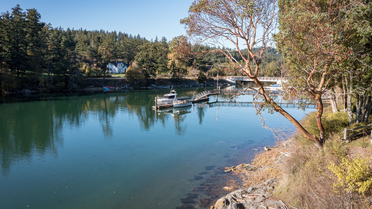 Photo of Others in Deer Harbor