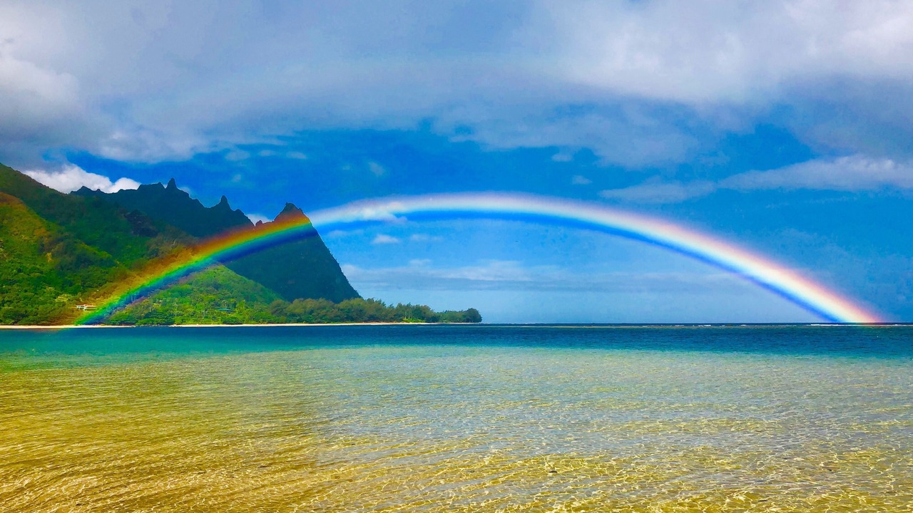 Photo of Others in Wainiha