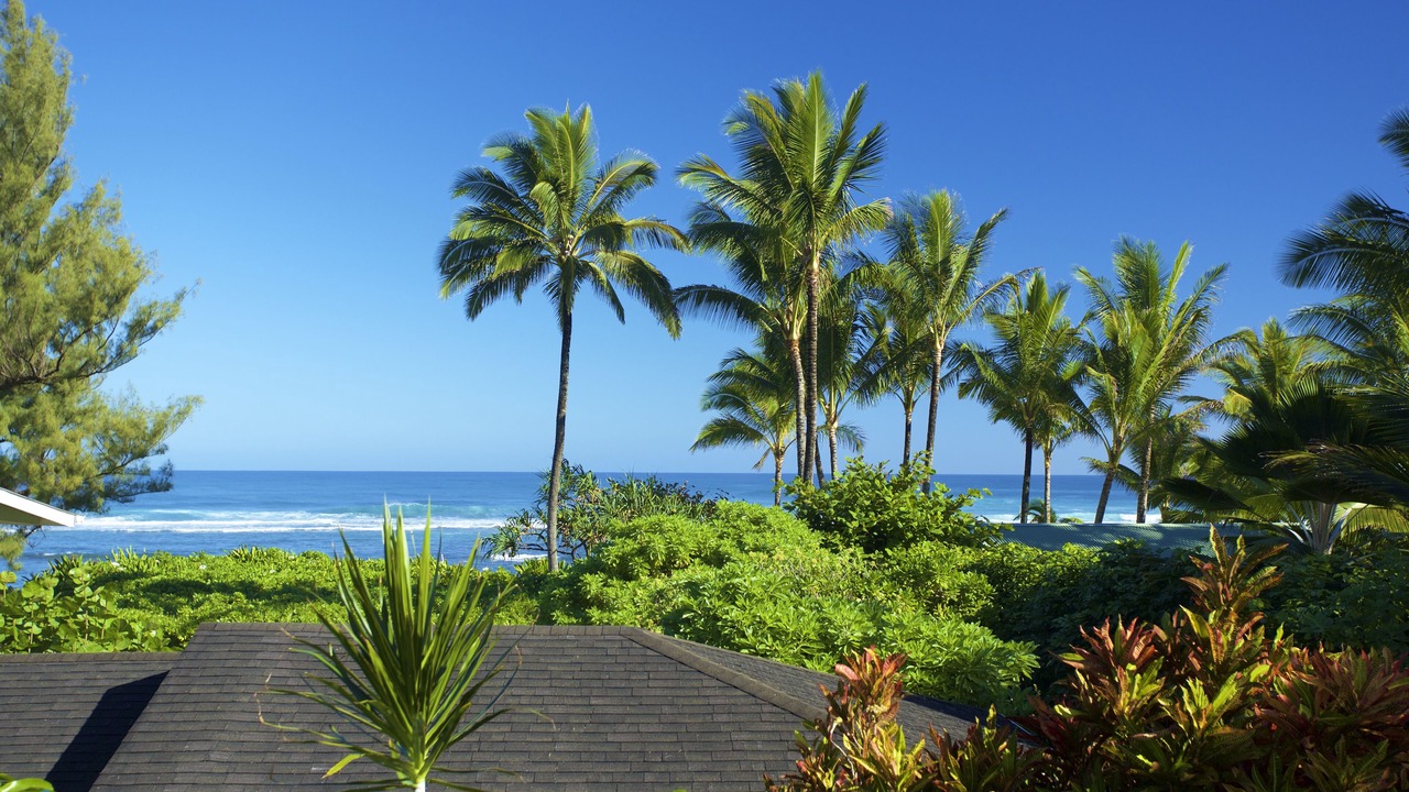 Photo of Outdoor in Wainiha