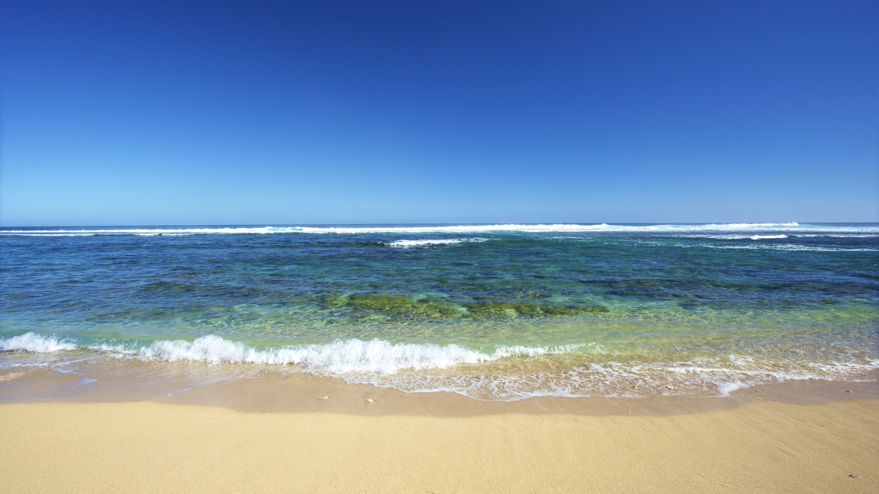 Photo of Others in Wainiha