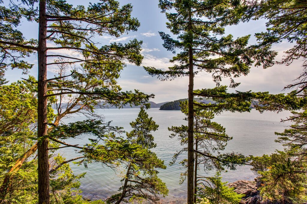 Photo of Others in Lopez Island
