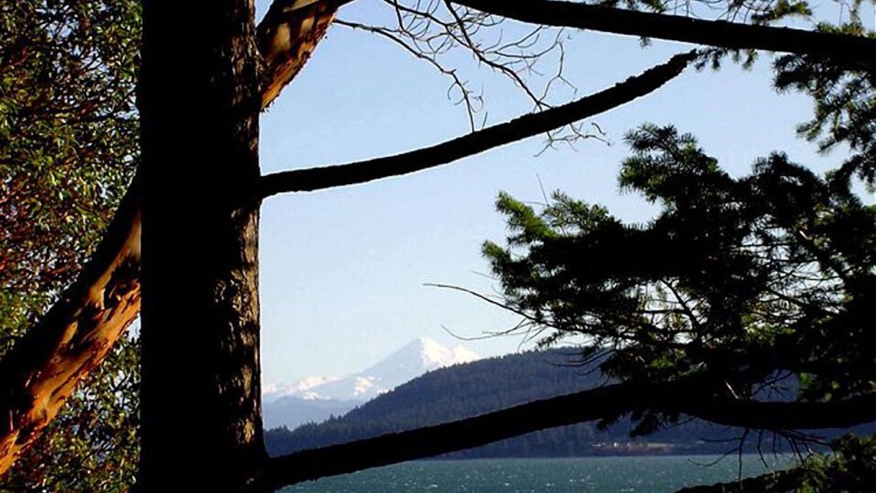 Photo of Others in Lopez Island