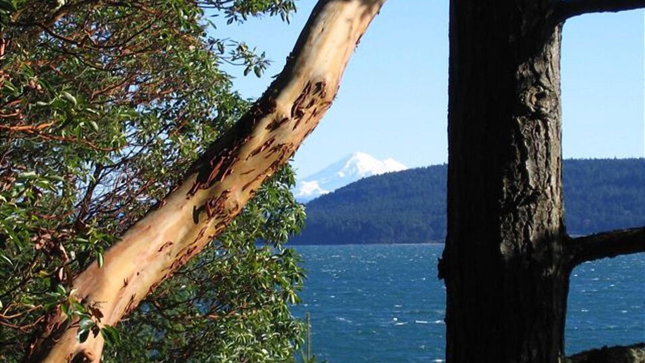 Photo of Others in Lopez Island