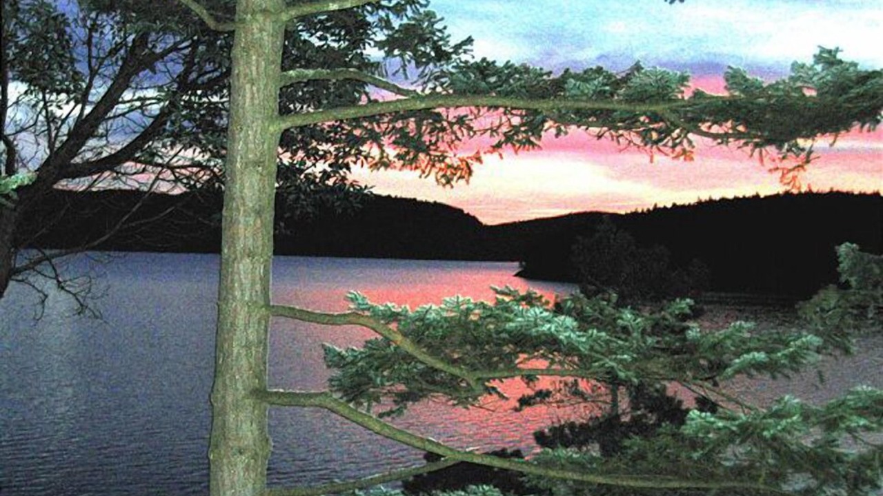 Photo of Others in Lopez Island