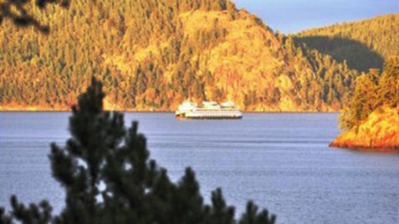 Photo of Others in Lopez Island