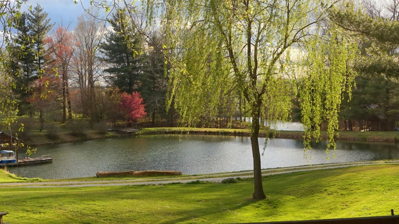 Photo of Others in Winston