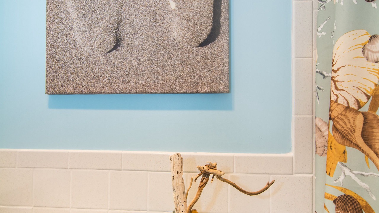 Photo of Bathroom in Juno Beach