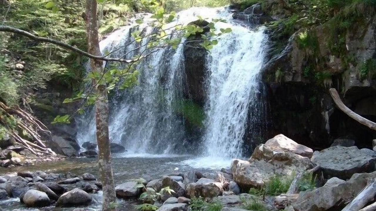 Photo of Outdoor in Albepierre-Bredons