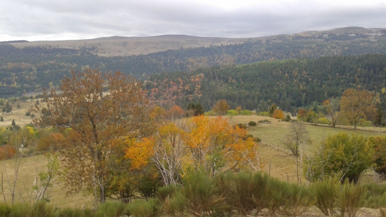 Photo of Outdoor in Albepierre-Bredons