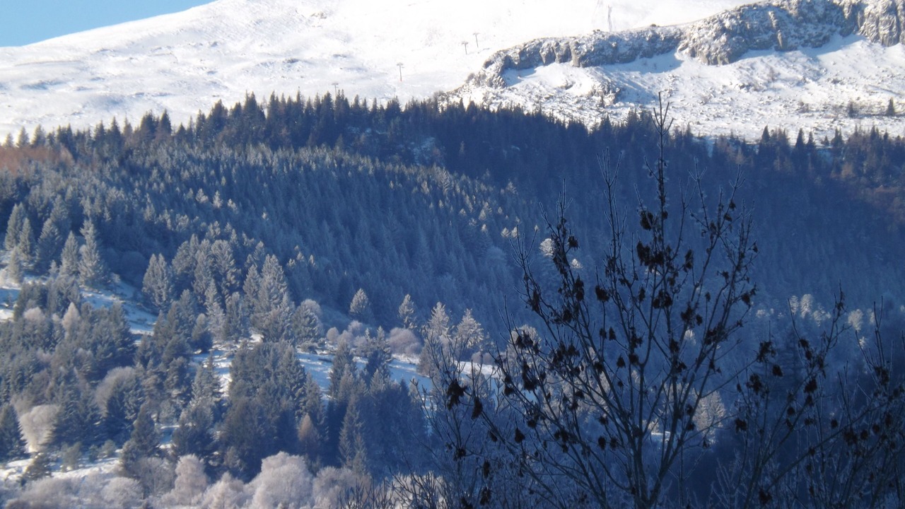 Photo of Outdoor in Albepierre-Bredons