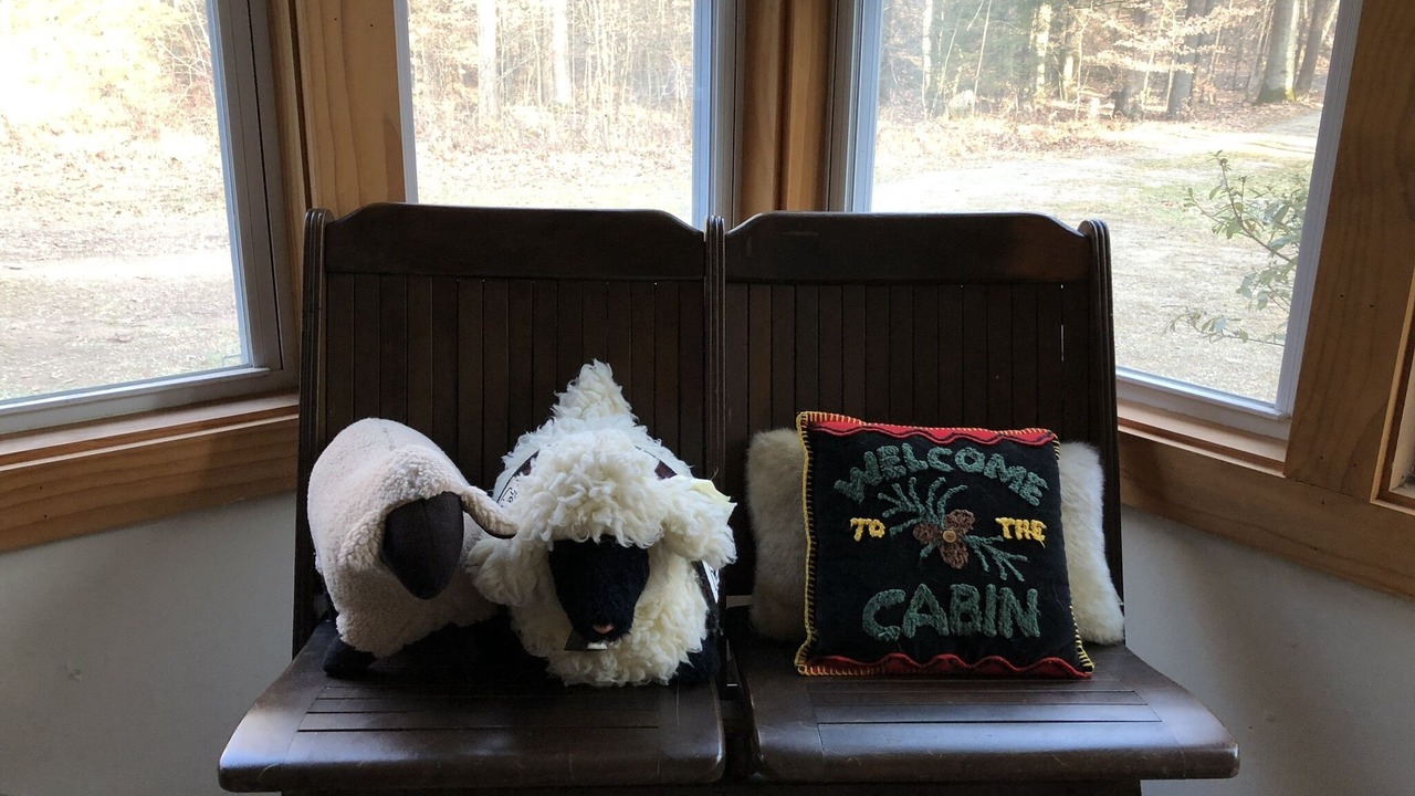 Photo of Others in Duncannon