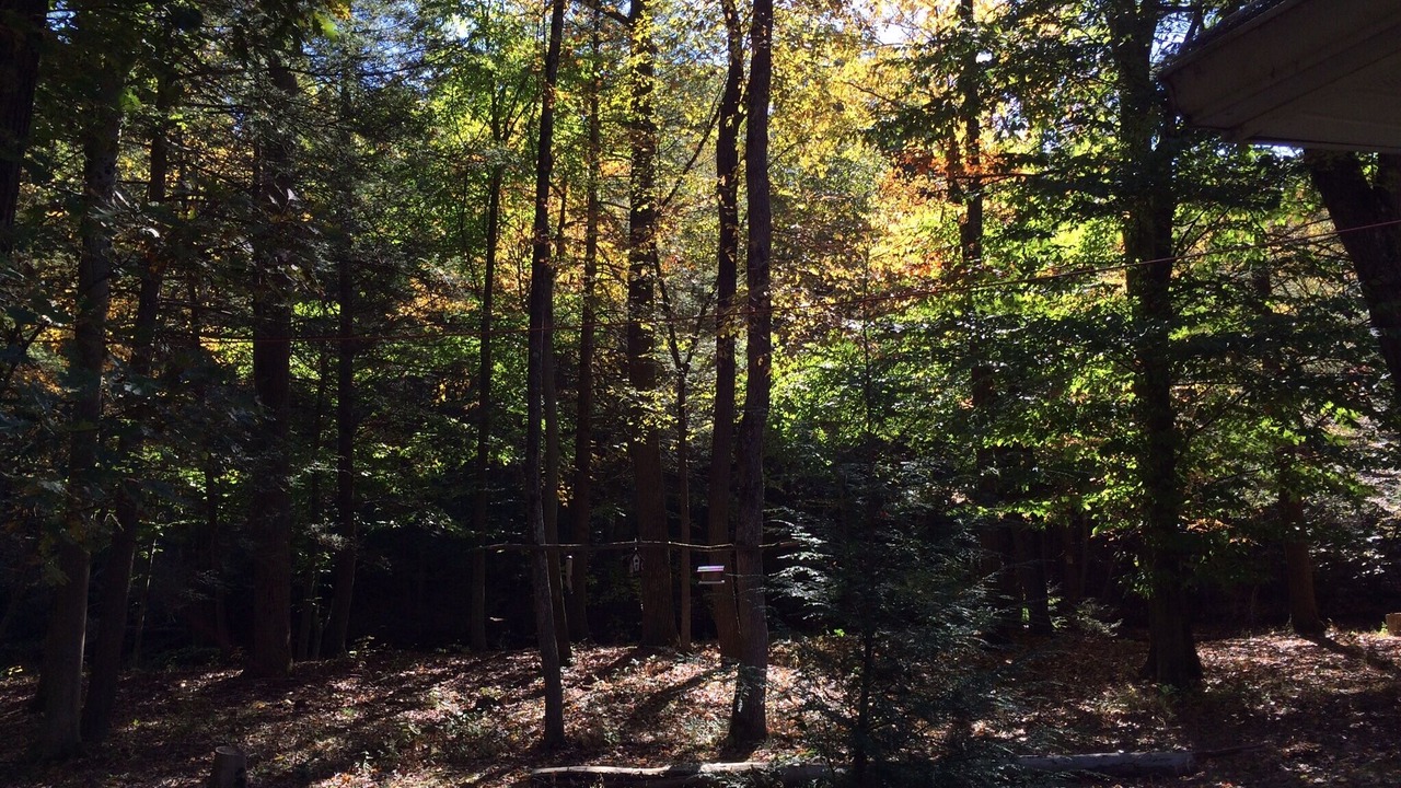 Photo of Outdoor in Duncannon