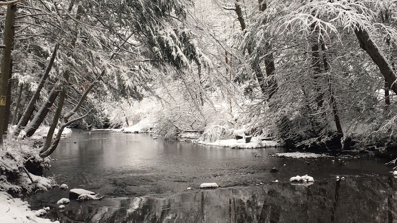 Photo of Others in Duncannon