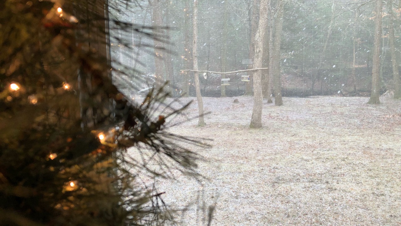 Photo of Others in Duncannon