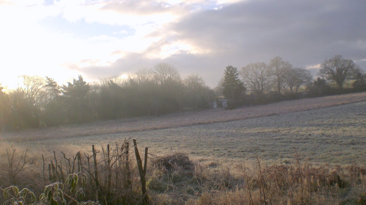 Photo of Others in Wissett