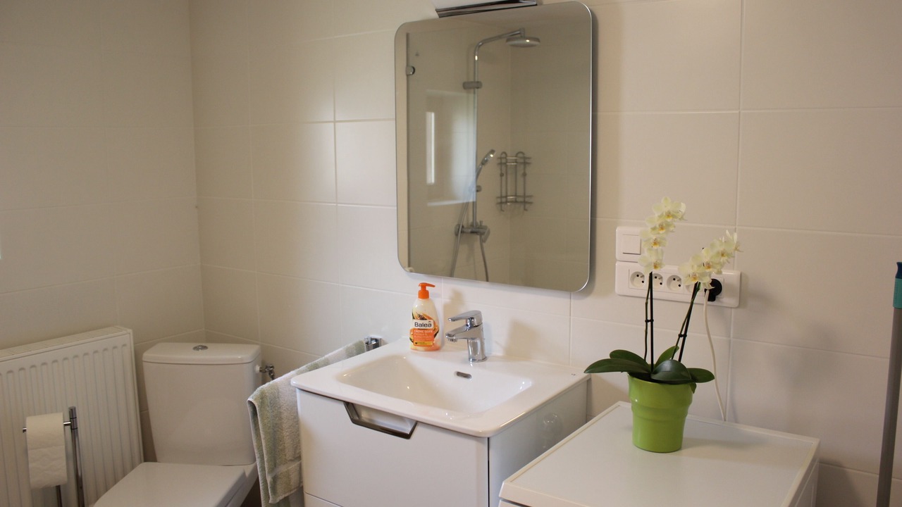 Photo of Bathroom in Ingolsheim