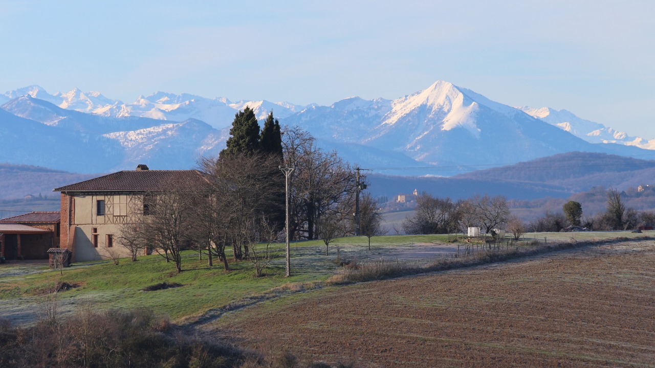 Photo of Others in Rieux-Volvestre