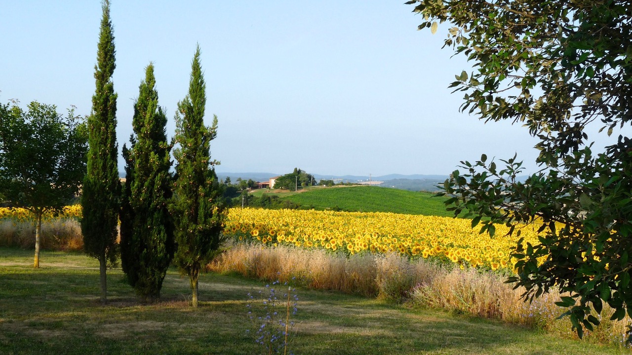 Photo of Others in Rieux-Volvestre