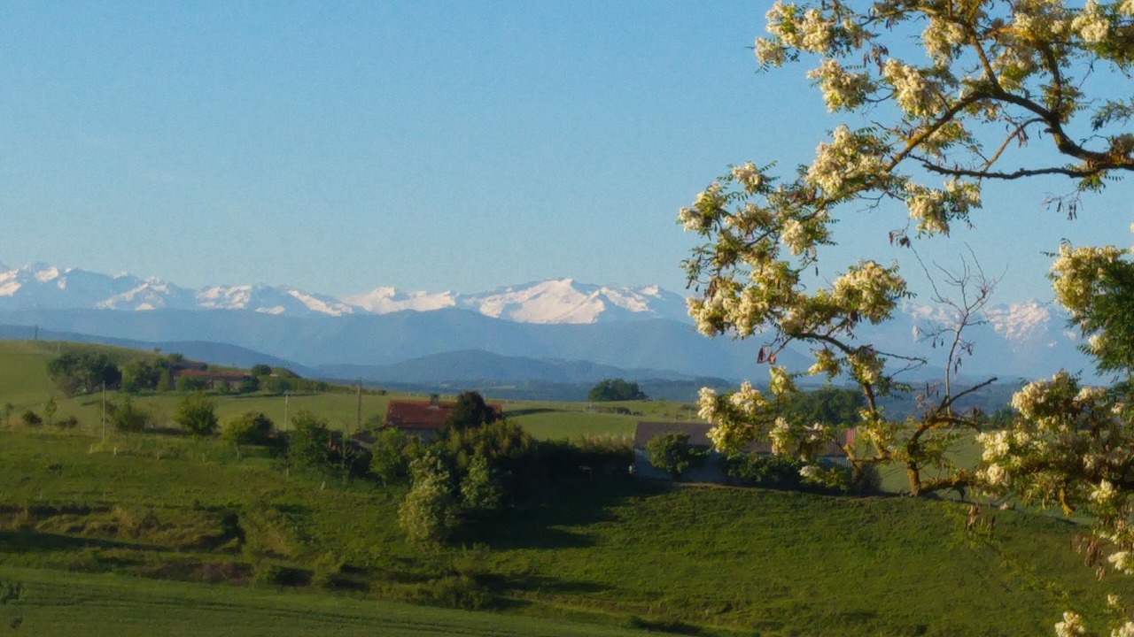 Photo of Others in Rieux-Volvestre