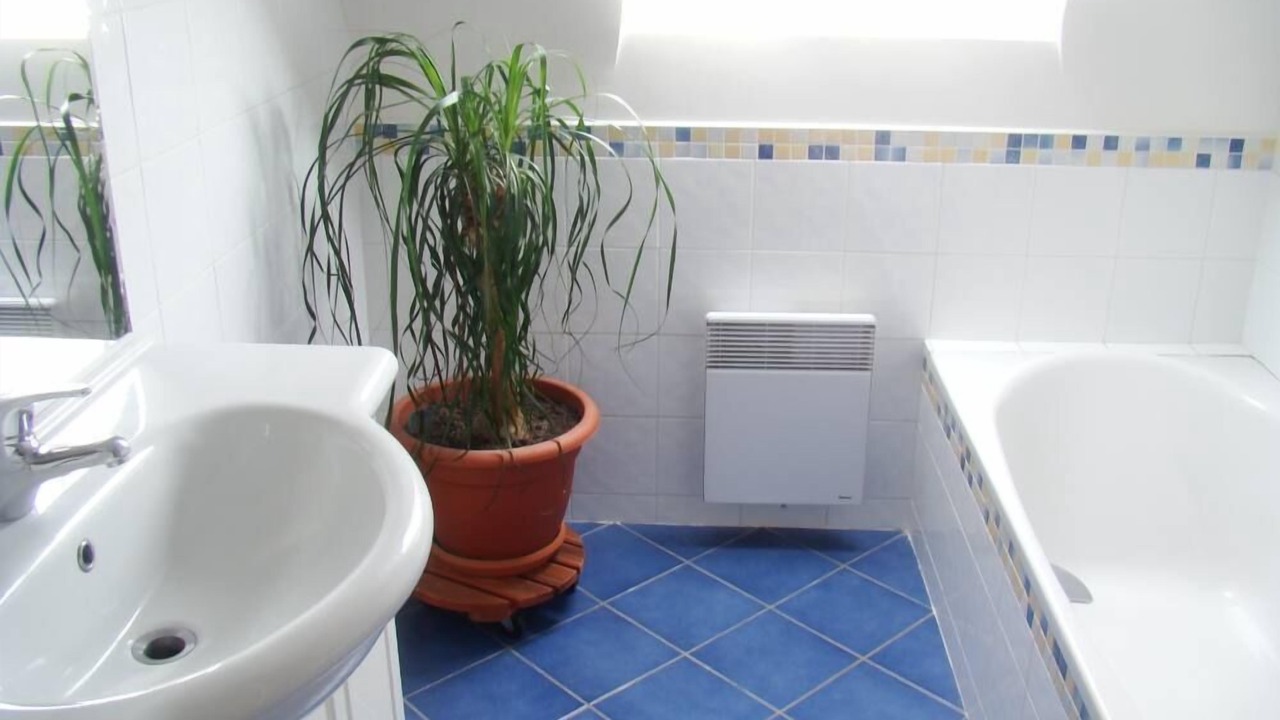 Photo of Bathroom in Erdeven