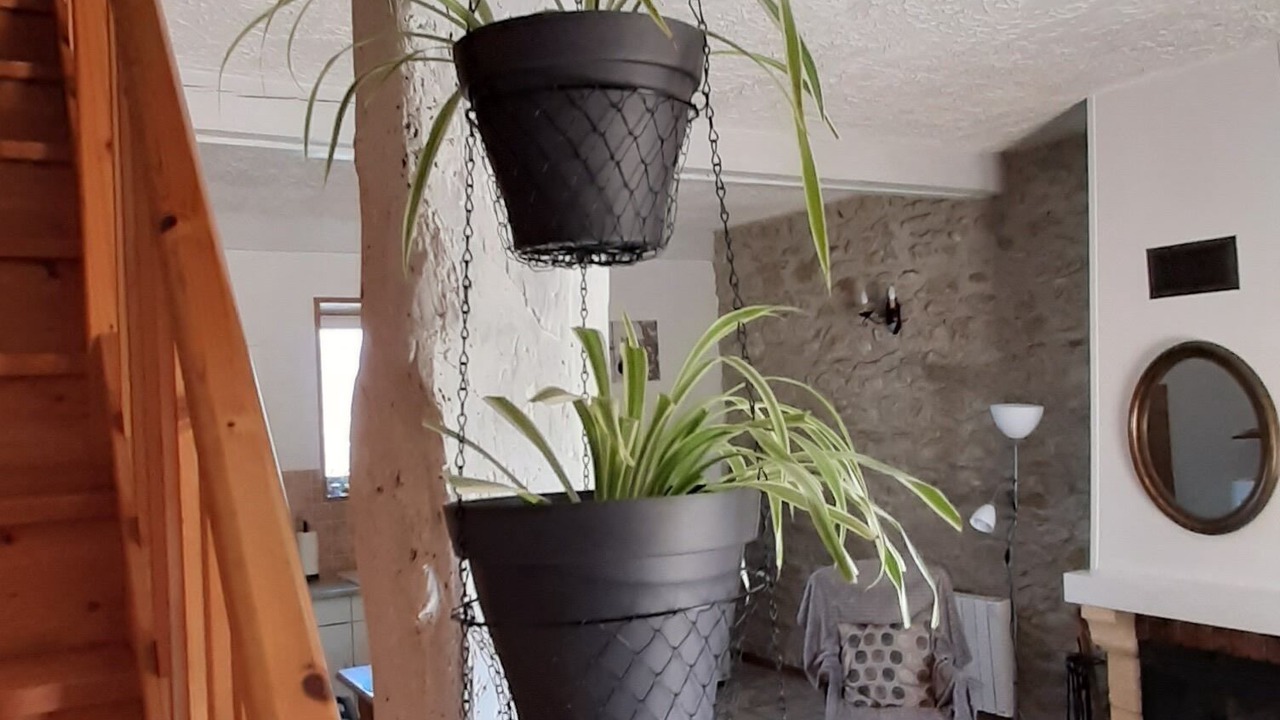 Photo of Others in Mirepoix