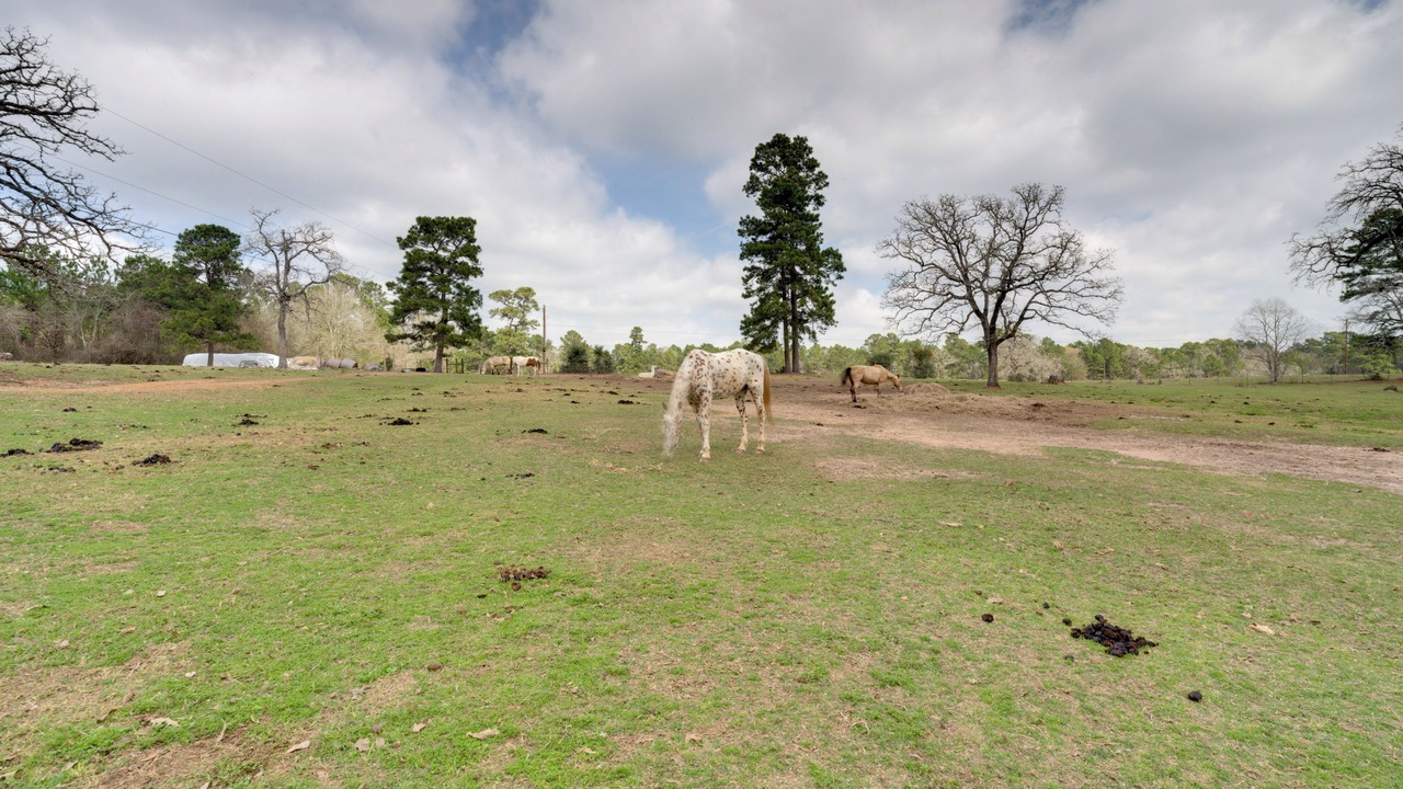 Photo of Others in Waller