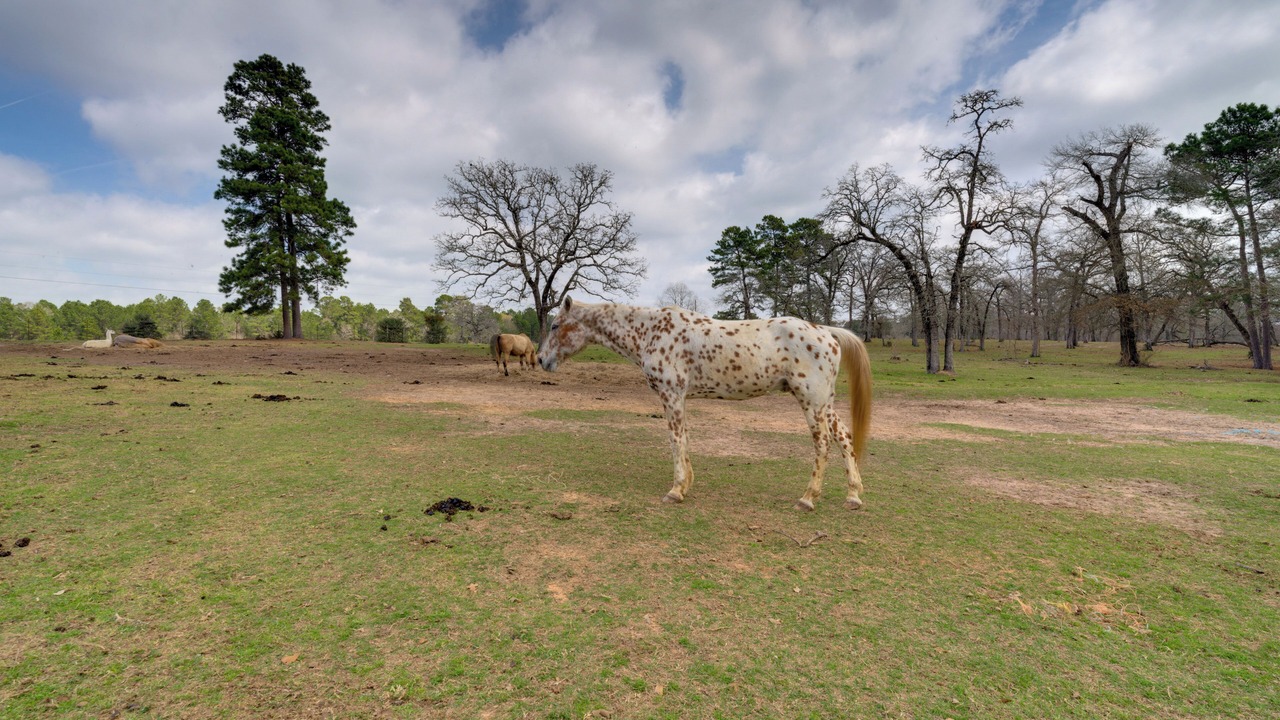 Photo of Others in Waller