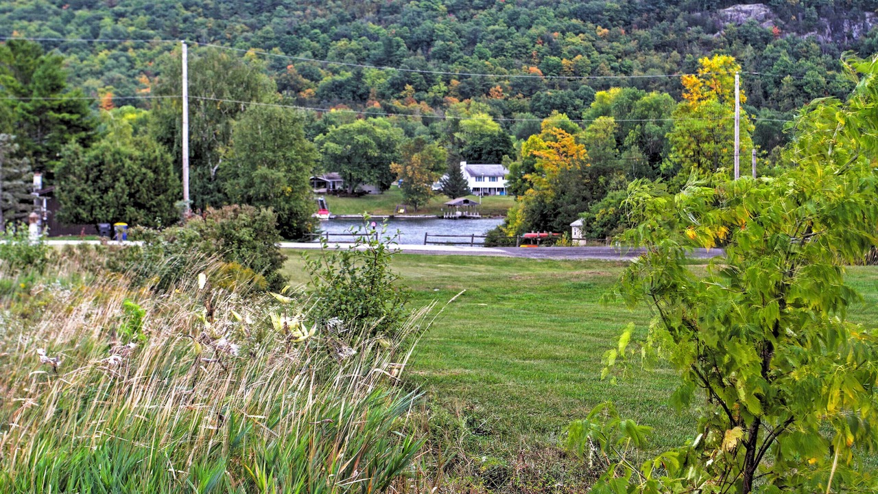 Photo of Others in North Lake George
