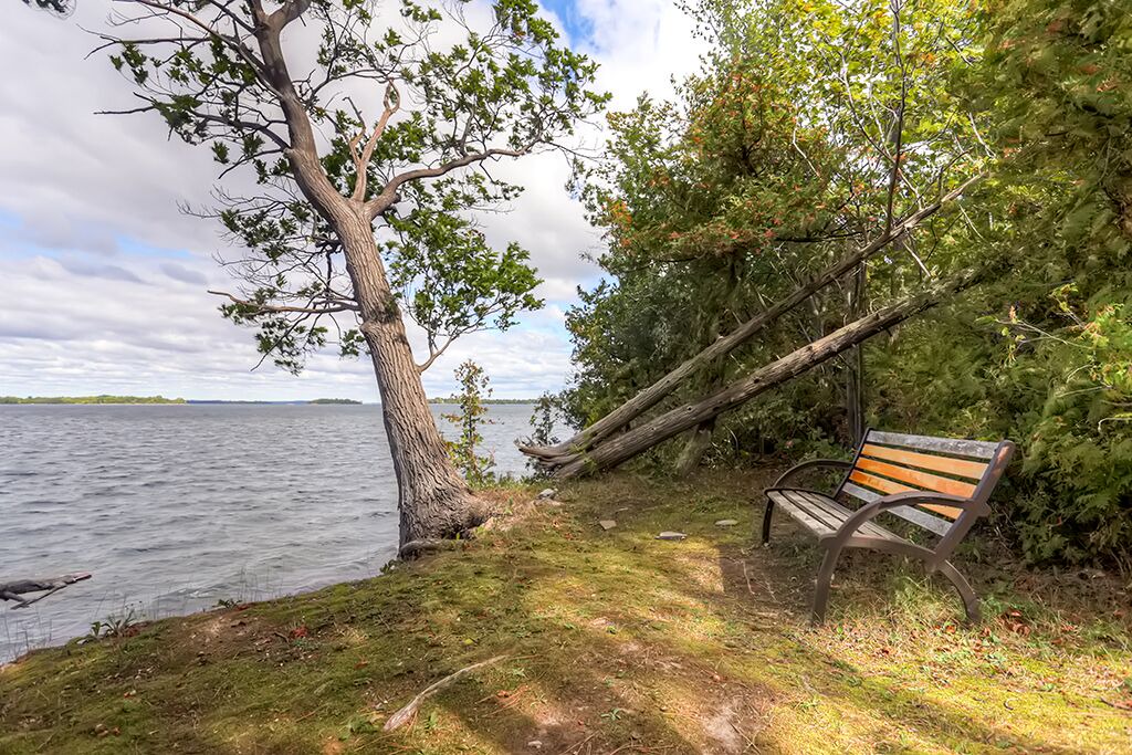 Photo of Others in St. Albans