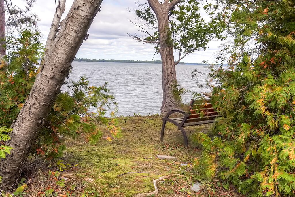 Photo of Others in St. Albans