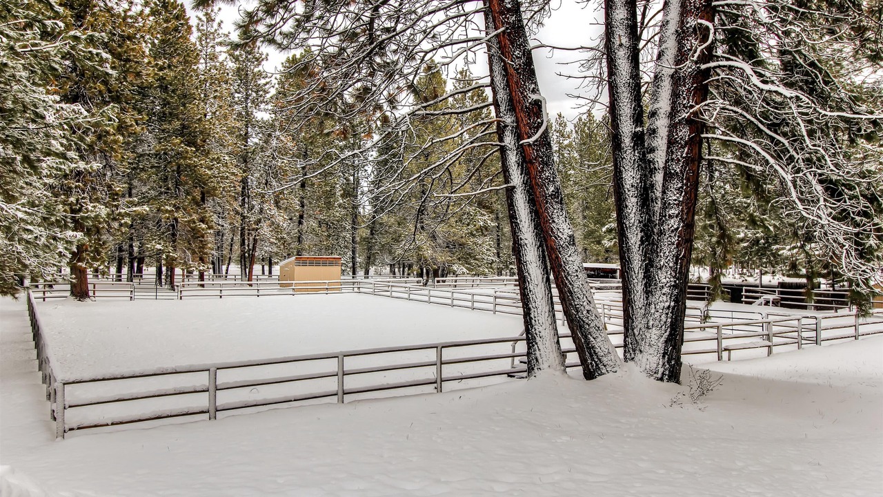 Photo of Others in Bend