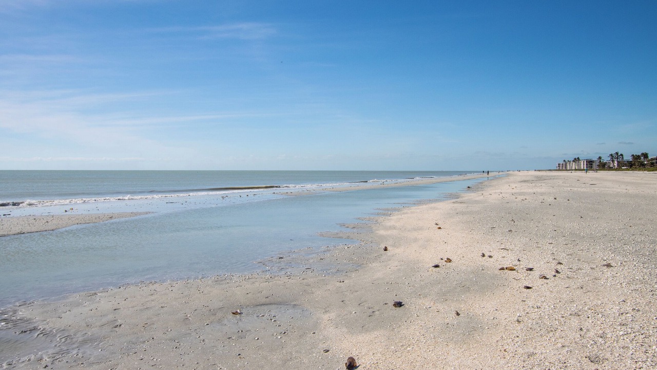 Photo of Others in Sanibel