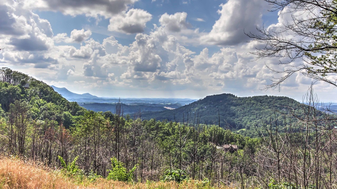 Photo of Others in Sevierville