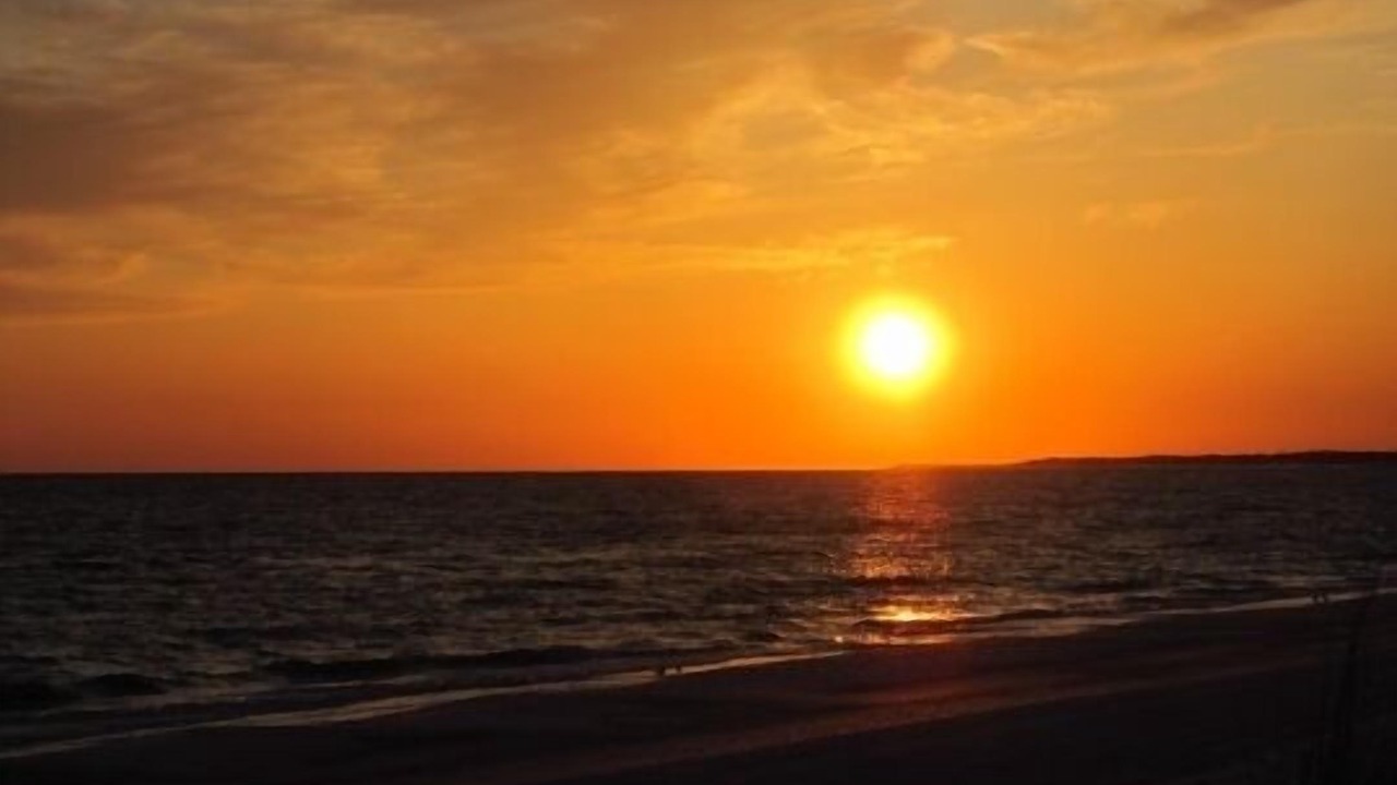 Photo of Others in Mexico Beach